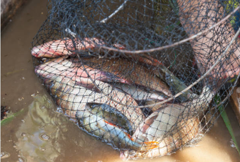 Mesh Net Tote Bag Wholesale 9