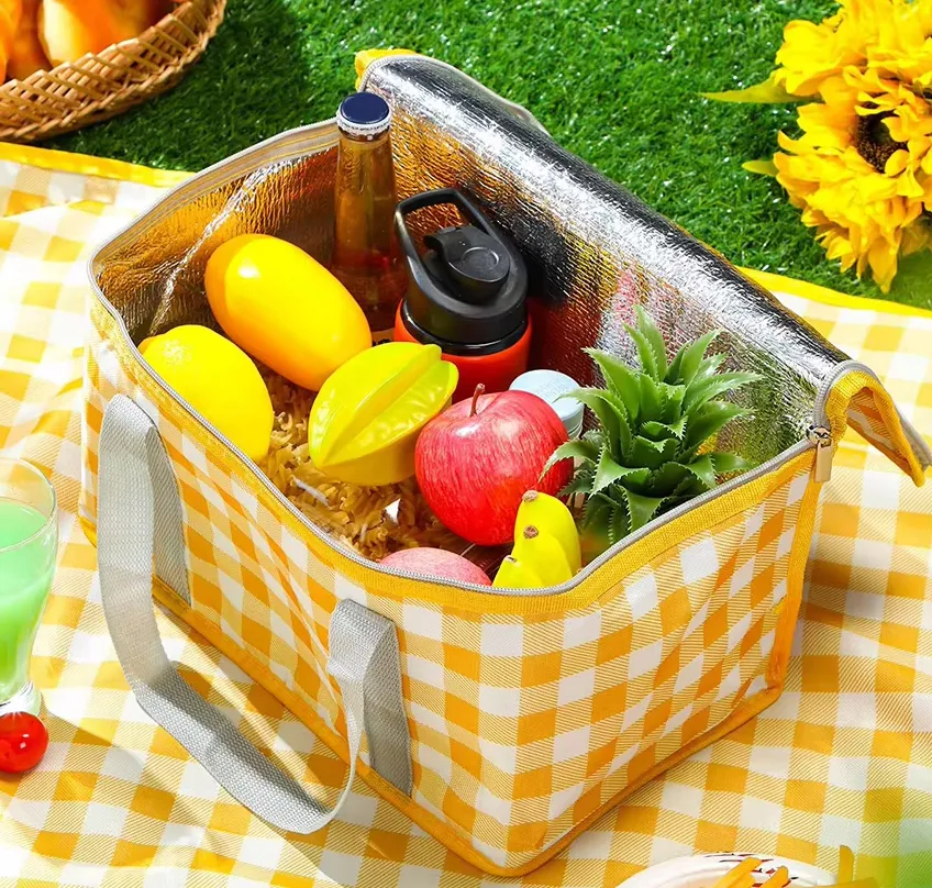 picnic cooler bag